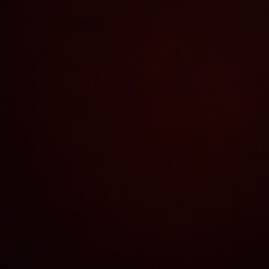 Meet your Posher, Javon